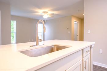 Undermount sink with pull-down faucet *